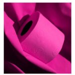 Renova Toilet Paper